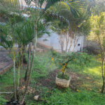 Casa à venda ou para alugar com 3 quartos, sendo 1 suíte, em Jardim Sontag, Salto, SP