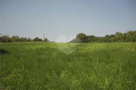 Área de Terra à venda em Porteira Preta, Mogi das Cruzes, SP