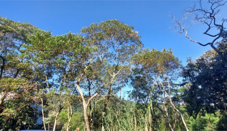 Terreno à venda no condomínio Alpes da Cantareira, Mairiporã - SP
