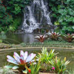 Apartamento à venda com 3 suítes em Vila Suzana, São Paulo, SP