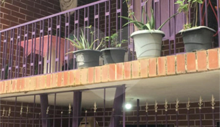 Casa de Vila à venda com 3 quartos em Vila Mazzei, São Paulo, SP