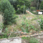 Terreno à venda em Pirituba, São Paulo, SP