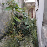 Casa à venda em Vila Mascote, São Paulo, SP