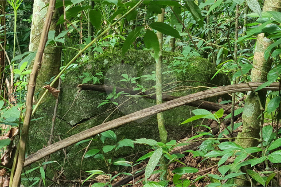 Terreno à venda em Caraguatá, Mairiporã, SP