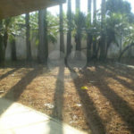 Sobrado à venda com 7 quartos, sendo 4 suítes, em Jardim Petrópolis, São Paulo, SP