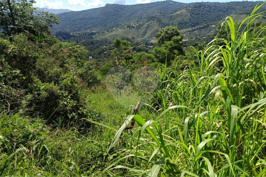 Terreno à venda em Luiz Fagundes, Mairiporã, SP