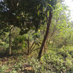 Terreno à venda em Bosque dos Eucalíptos, Atibaia, SP