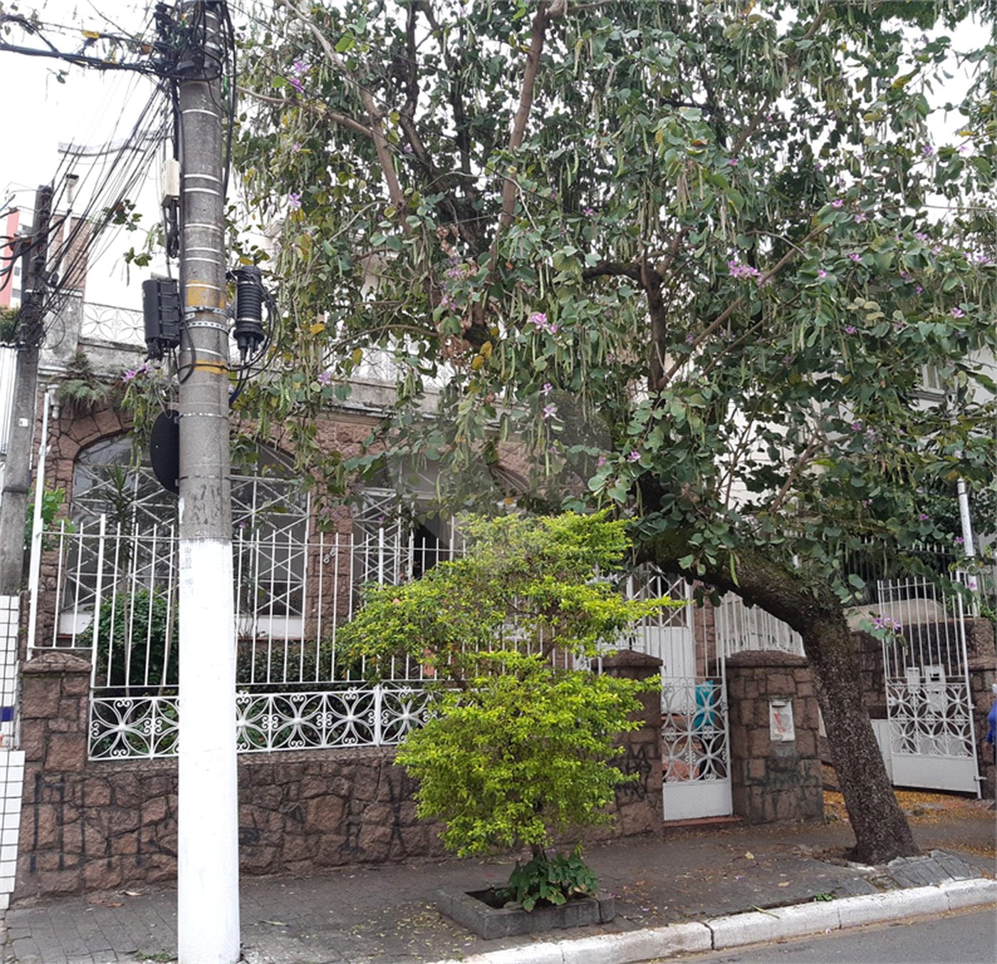 Sobrado à venda ou para alugar com 4 quartos em Santana, São Paulo, SP