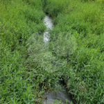 Sitio para venda.