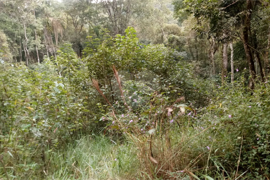 Terreno à venda no condomínio Sausalito, Mairiporã - SP