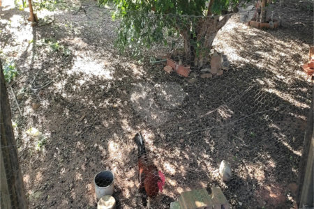 Chácara à venda com 3 quartos, sendo 1 suíte, em Parque das Bandeiras, Indaiatuba, SP