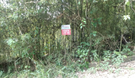 Terreno à venda em Serra da Cantareira, Mairiporã, SP
