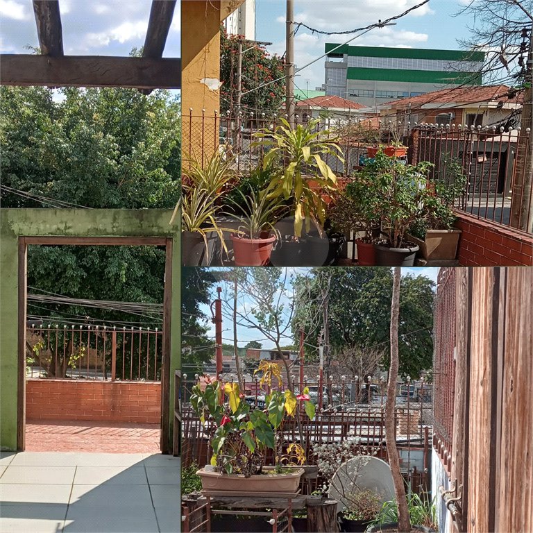 Sobrado à venda com 4 quartos, sendo 2 suítes, em Parque Edu Chaves, São Paulo, SP