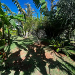 Casa à venda ou para alugar com 2 quartos, sendo 1 suíte,  em Vila Novo Horizonte, Itapetininga, SP