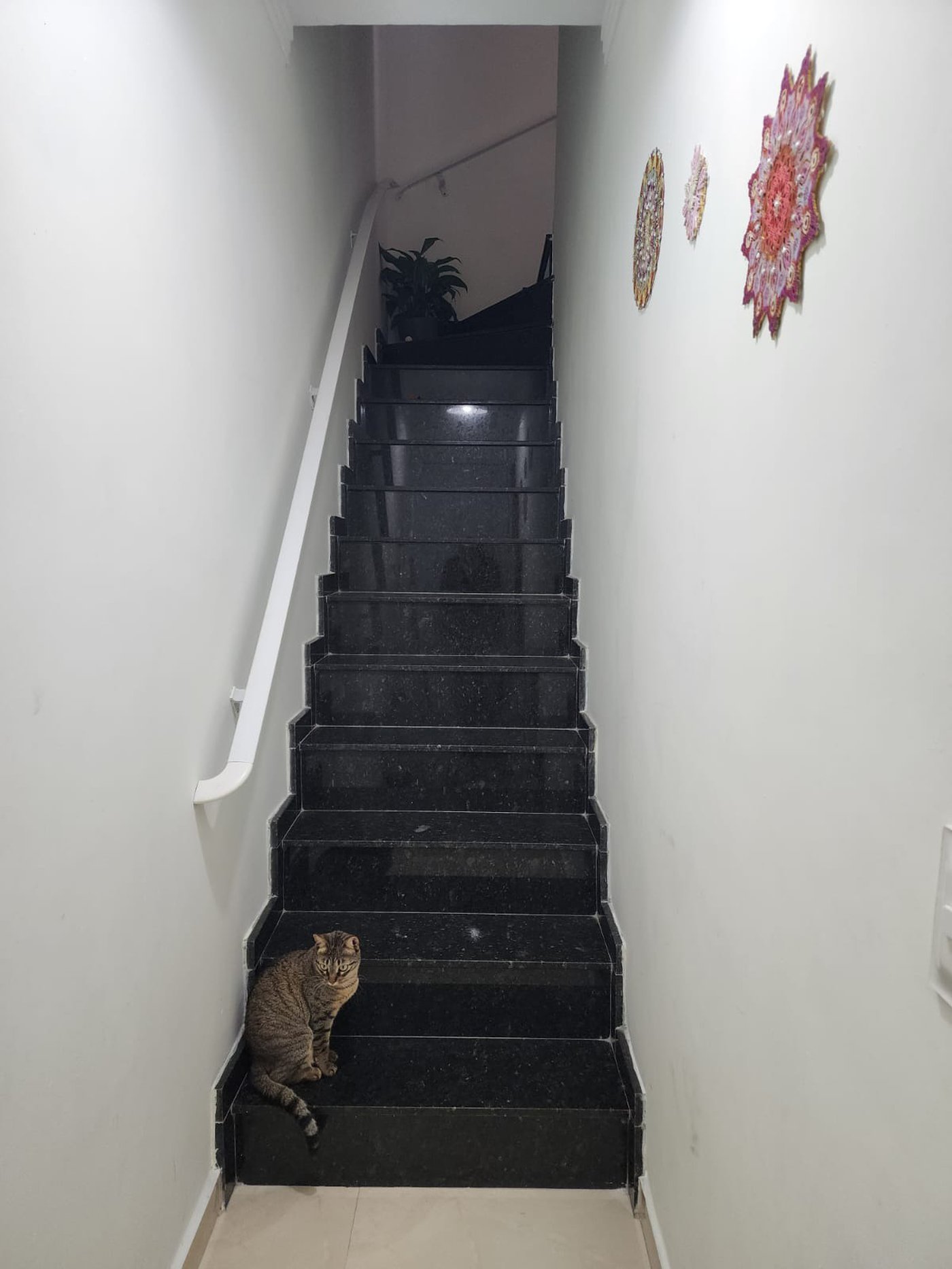 Casa à venda com 3 quartos, sendo 1 suíte, em Canto do Forte, Praia Grande - SP