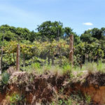 Chácara à venda em Estância Hidromineral Santa Eliza, Itupeva, SP