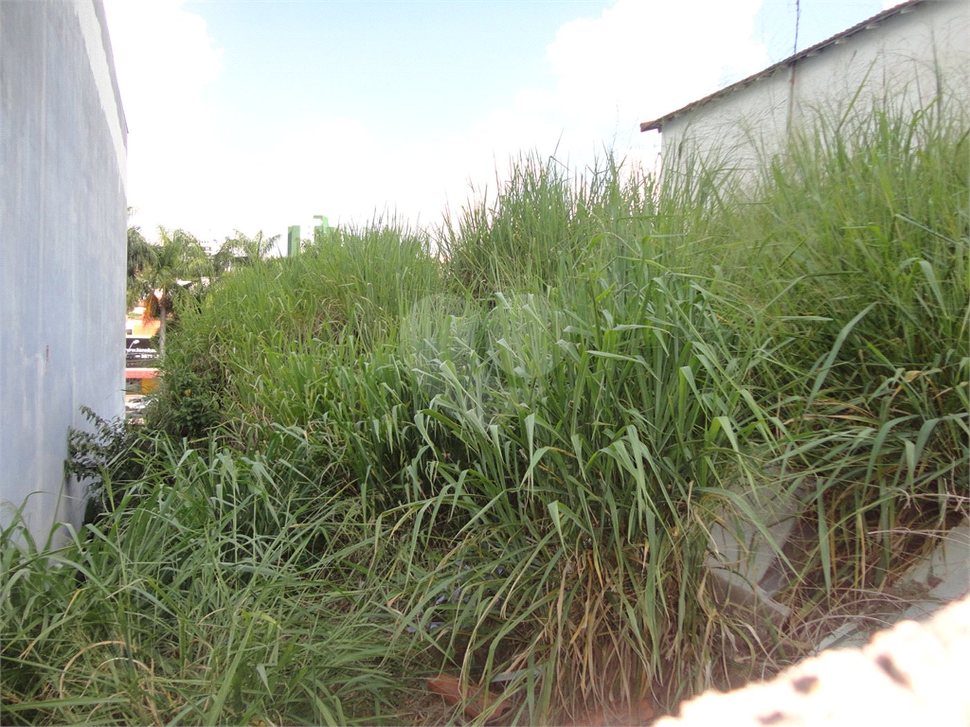 Terreno à venda em Jardim Planalto, Valinhos, SP