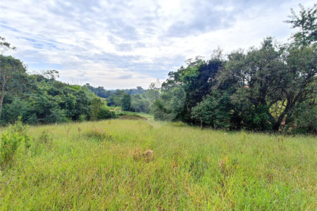 Terreno à venda em Residencial Reserva da Mata, Itapetininga, SP