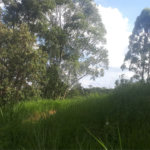 Terreno à venda em Vale Verde, Valinhos, SP