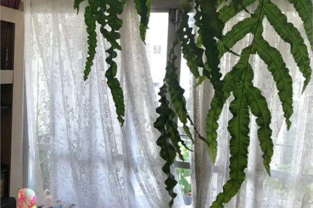 Apartamento para alugar com 3 quartos, sendo 1 suíte, em Pinheiros, São Paulo, SP