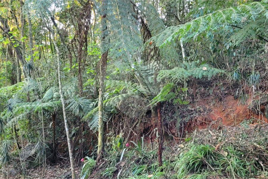 Terreno à venda no condomínio Alpes da Cantareira, Mairiporã - SP
