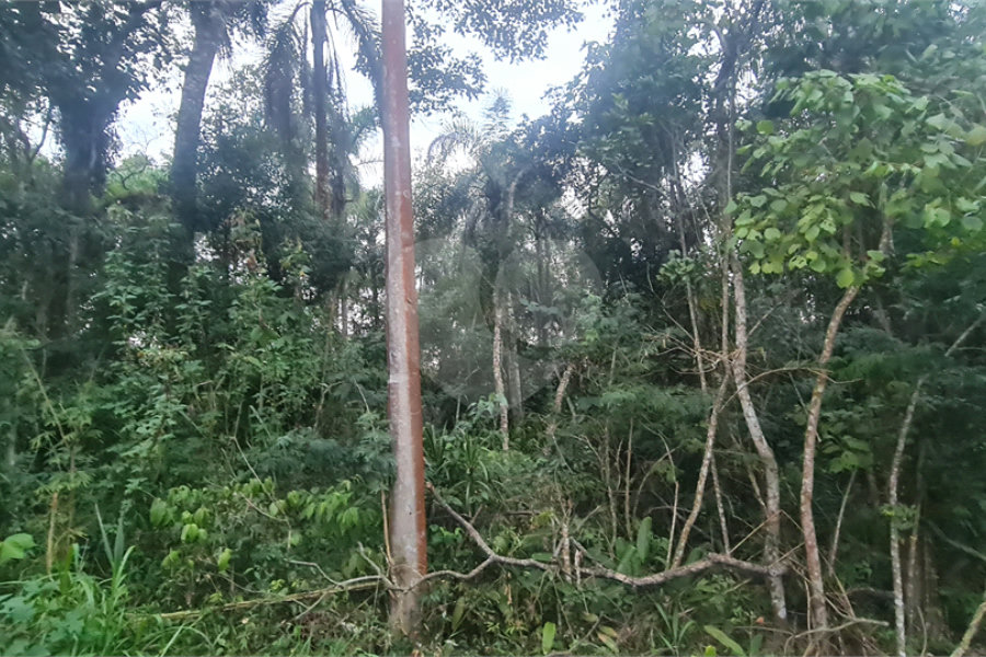 Condomínio à venda em Serra da Cantareira, Mairiporã, SP