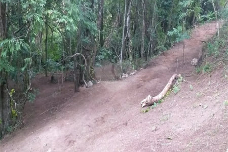 Sítio à venda no Centro, Monte Sião, MG