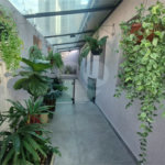 Casa Térrea à venda com 3 quartos, sendo 2 suítes, em Santana, São Paulo, SP
