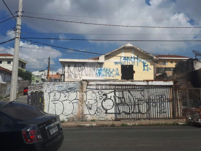 Terreno para alugar em Tucuruvi, São Paulo, SP
