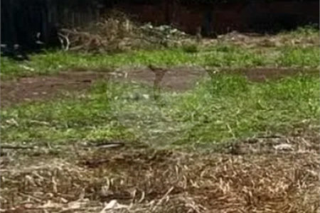 Terreno à venda em Vila Aurora, Dourados, MS