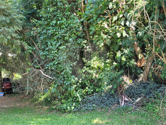 Terreno à venda em Serra da Cantareira, Mairiporã, SP
