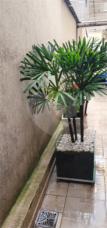 Sobrado à venda com 3 quartos, sendo 1 suíte, em Vila Mazzei, São Paulo, SP