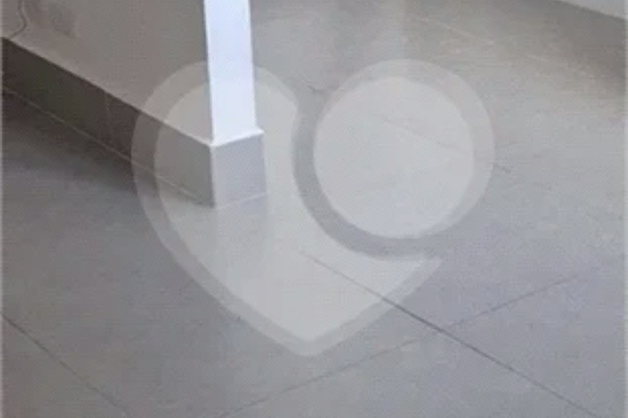 Apartamento para alugar com 1 quarto em Santana, São Paulo, SP