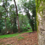 Chácara à venda com 5 quartos, sendo 2 suítes,  em Chácara Recreio Danubio, Holambra, SP