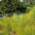 Terreno à venda em Caixa D´água, Vinhedo, SP