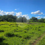 Terreno à venda em Parque Planalto, Araraquara, SP