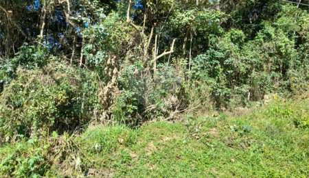 Terreno à venda em Roseira, Mairiporã, SP