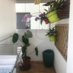 Apartamento à venda com 3 quartos, sendo 1 suíte,  em Mandaqui, São Paulo, SP