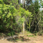 Terreno à venda em Serra da Cantareira, Mairiporã, SP