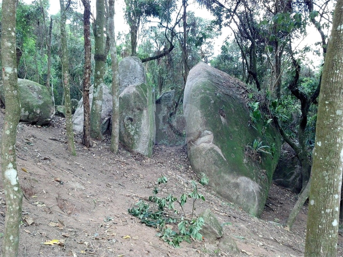 Terreno à venda em Caceia, Mairiporã, SP