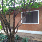 Casa Térrea à venda com 3 quartos em Vila Mazzei, São Paulo, SP
