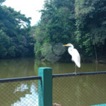 Terreno à venda no condomínio Portal do Lago, Valinhos - SP