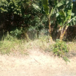 Terreno à venda em Serra da Cantareira, Mairiporã, SP
