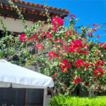 Casa à venda com 2 suítes em Marina, Armação dos Búzios, RJ