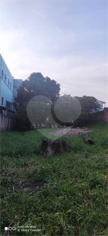 Terreno à venda com 3 quartos, sendo 1 suíte, em Imirim, São Paulo, SP