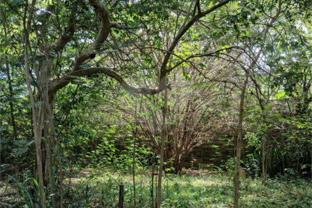 Terreno à venda em Jardim Patriarca, Ribeirão Preto, SP