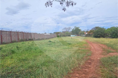 Terreno para alugar em Vila Áurea, Ponta Porã, MS