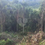 Terreno à venda no condomínio Estancia da Serra / Residencial Nova Mairipora, Mairiporã - SP