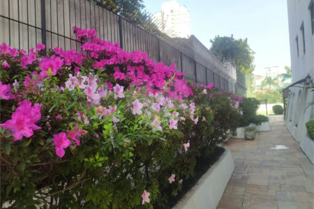 Duplex à venda com 3 quartos, sendo 1 suíte, em Santana, São Paulo, SP
