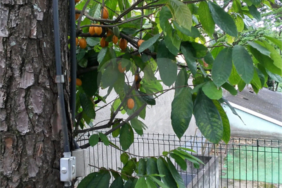 Sobrado à venda com 4 quartos, sendo 1 suíte, em Jardim Floresta, São Paulo, SP